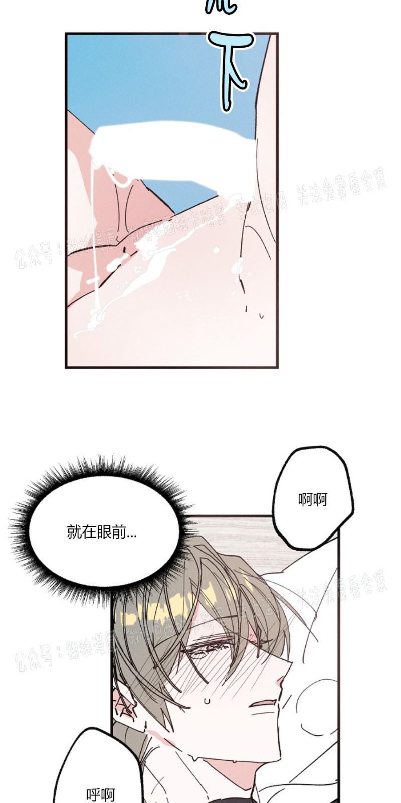 代号：迷雾/代号雾[耽美]韩漫全集-第10话无删减无遮挡章节图片 
