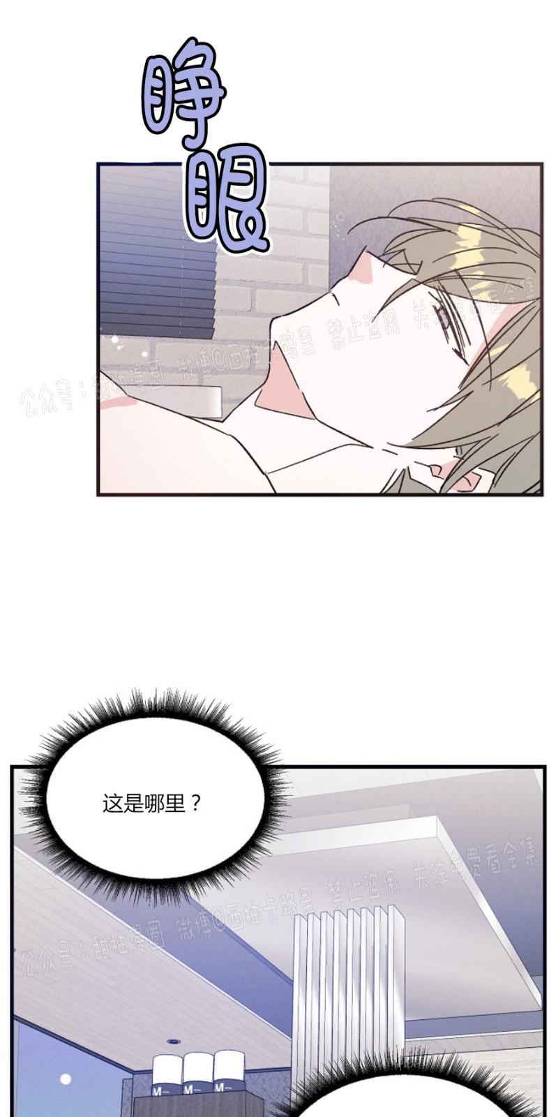 代号：迷雾/代号雾[耽美]韩漫全集-第10话无删减无遮挡章节图片 