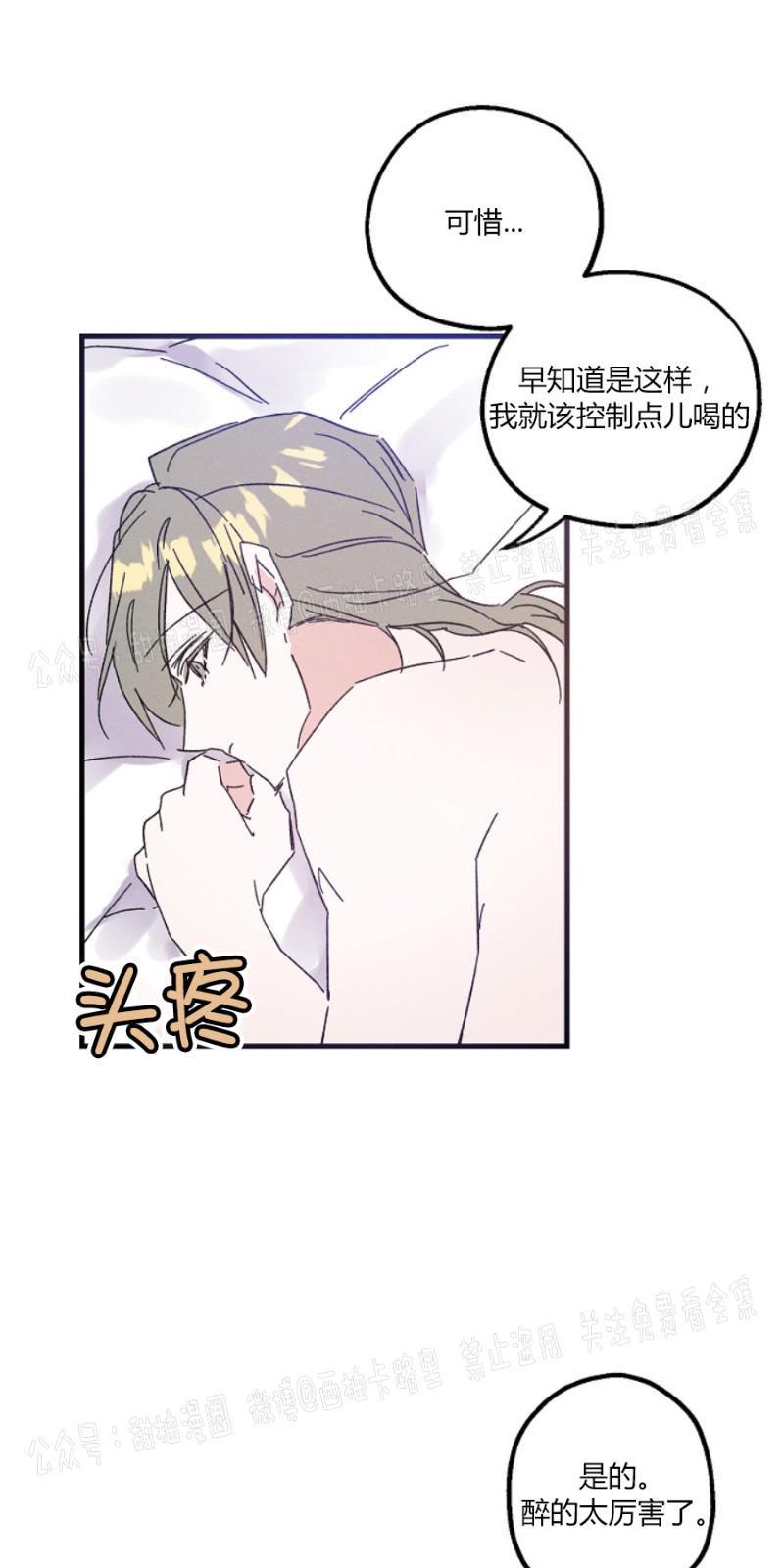 代号：迷雾/代号雾[耽美]韩漫全集-第10话无删减无遮挡章节图片 