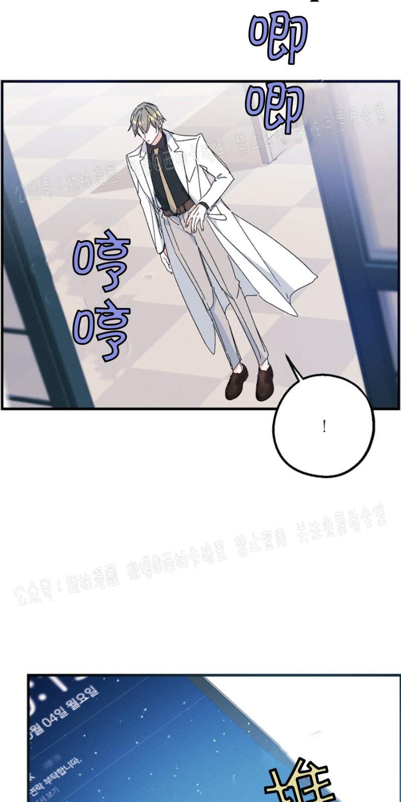 代号：迷雾/代号雾[耽美]韩漫全集-第11话无删减无遮挡章节图片 