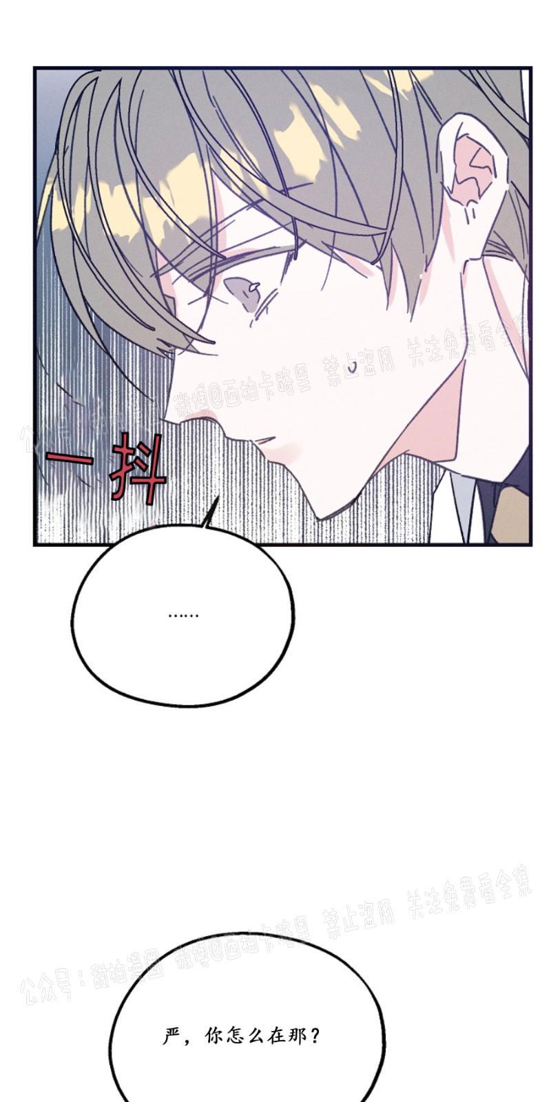 代号：迷雾/代号雾[耽美]韩漫全集-第11话无删减无遮挡章节图片 
