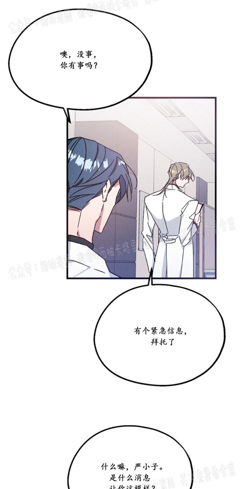 代号：迷雾/代号雾[耽美]韩漫全集-第11话无删减无遮挡章节图片 