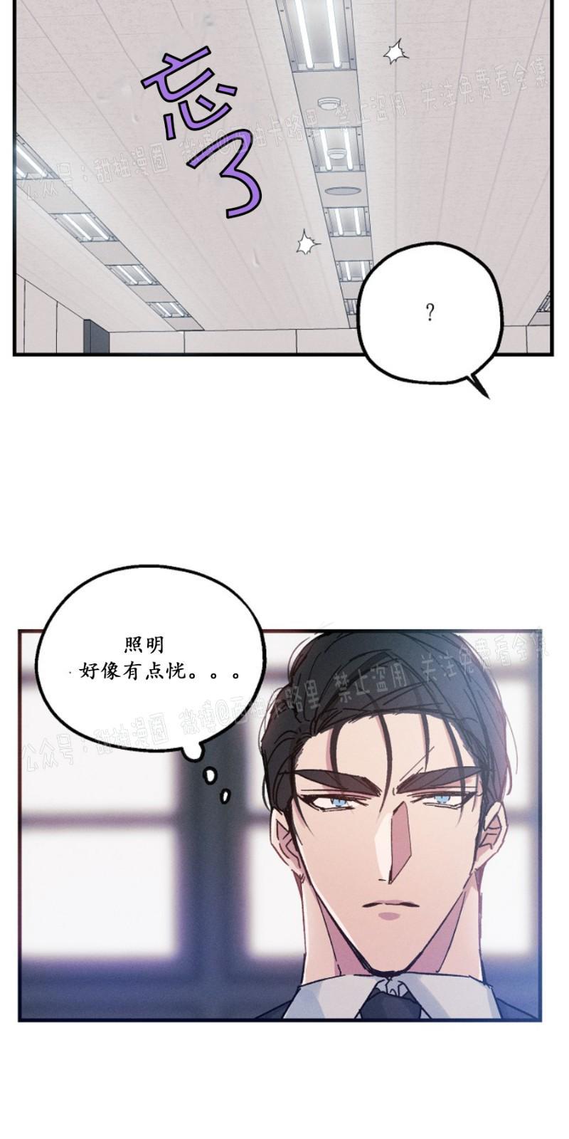 代号：迷雾/代号雾[耽美]韩漫全集-第11话无删减无遮挡章节图片 