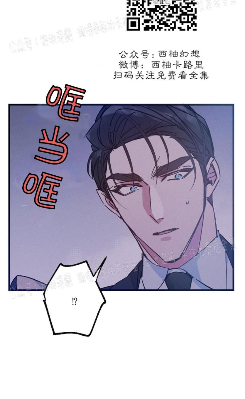 代号：迷雾/代号雾[耽美]韩漫全集-第11话无删减无遮挡章节图片 
