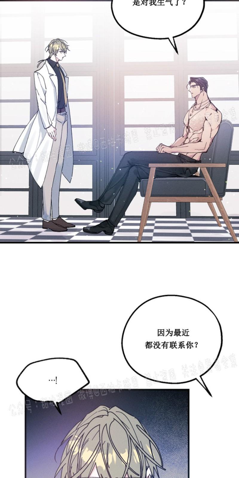 代号：迷雾/代号雾[耽美]韩漫全集-第12话无删减无遮挡章节图片 
