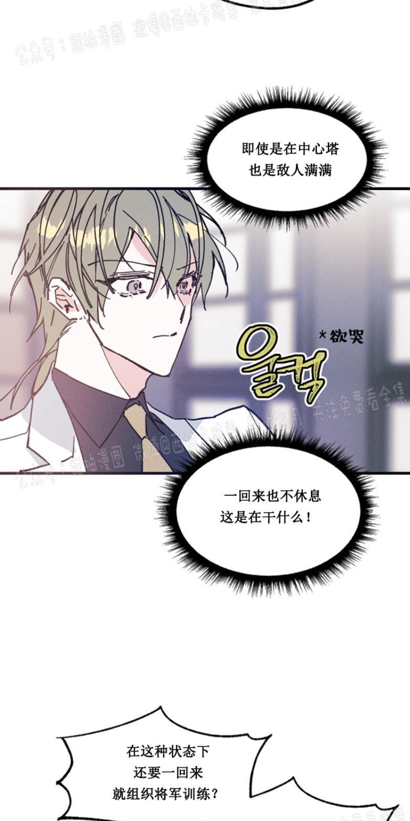 代号：迷雾/代号雾[耽美]韩漫全集-第12话无删减无遮挡章节图片 