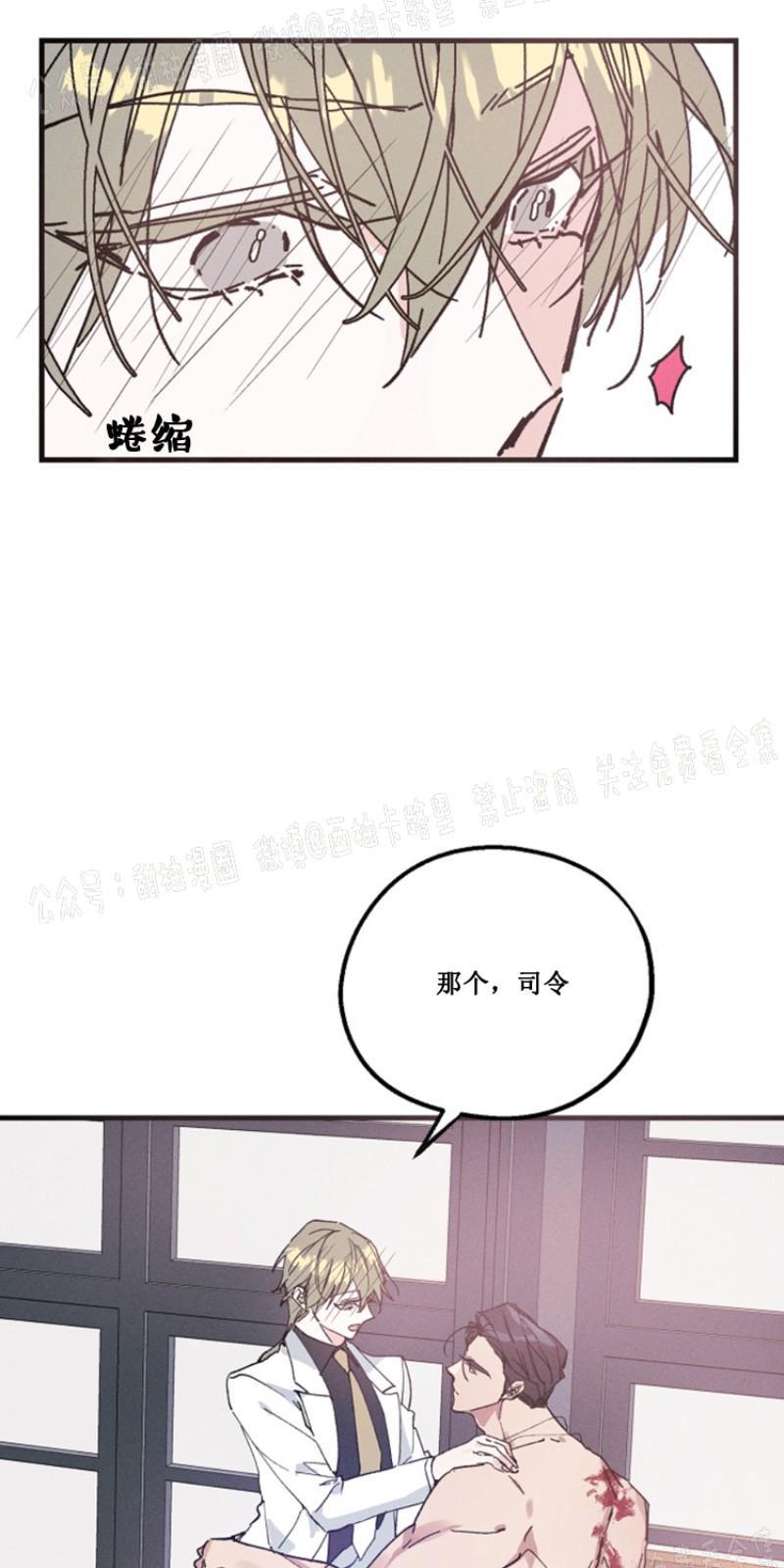 代号：迷雾/代号雾[耽美]韩漫全集-第12话无删减无遮挡章节图片 