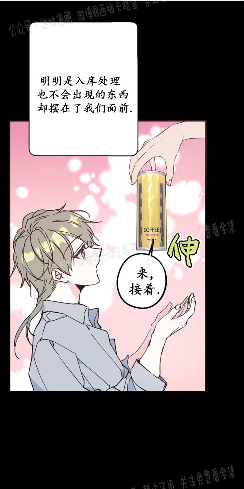 代号：迷雾/代号雾[耽美]韩漫全集-第13话无删减无遮挡章节图片 