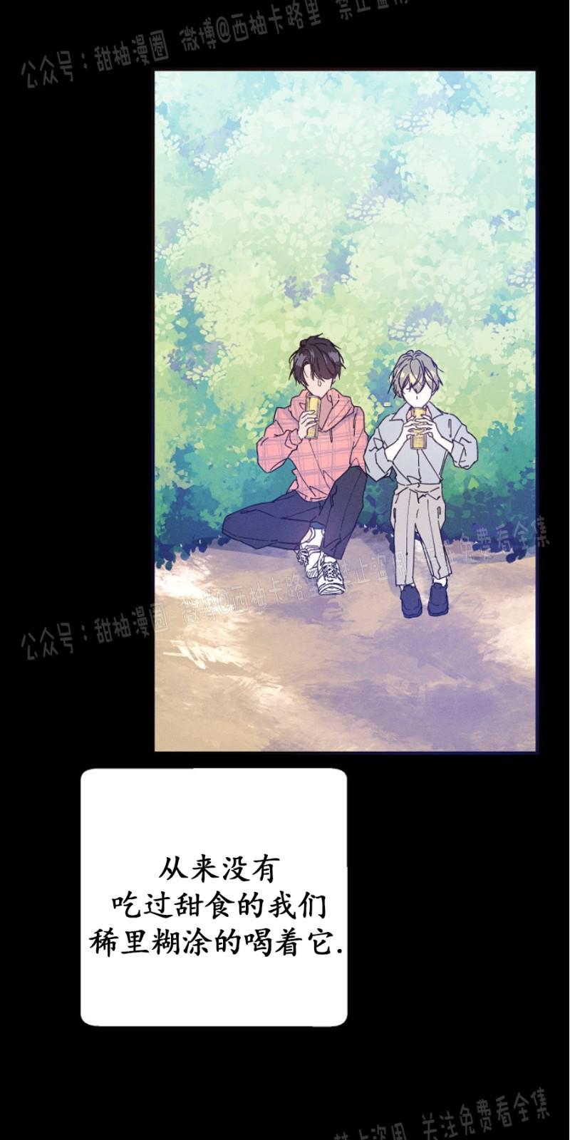 代号：迷雾/代号雾[耽美]韩漫全集-第13话无删减无遮挡章节图片 