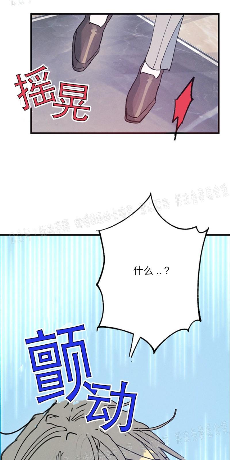 代号：迷雾/代号雾[耽美]韩漫全集-第14话无删减无遮挡章节图片 