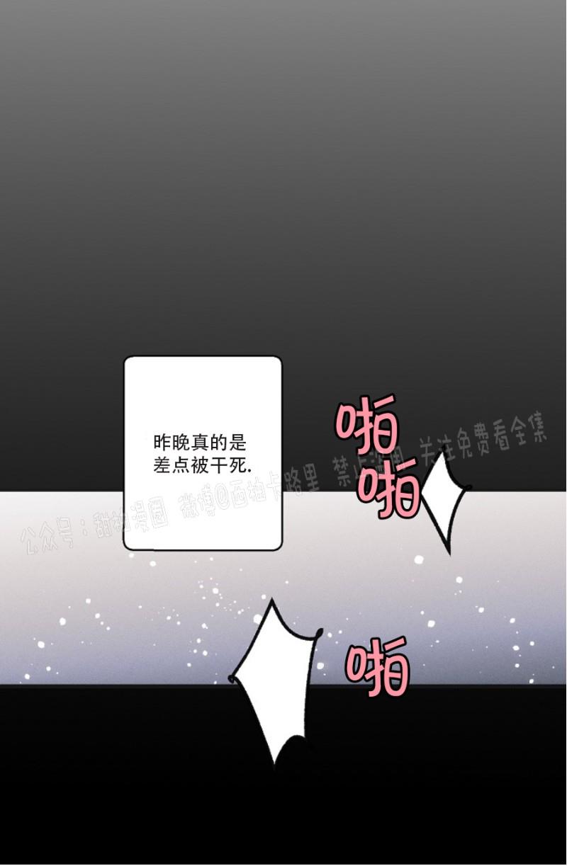 代号：迷雾/代号雾[耽美]韩漫全集-第16话无删减无遮挡章节图片 