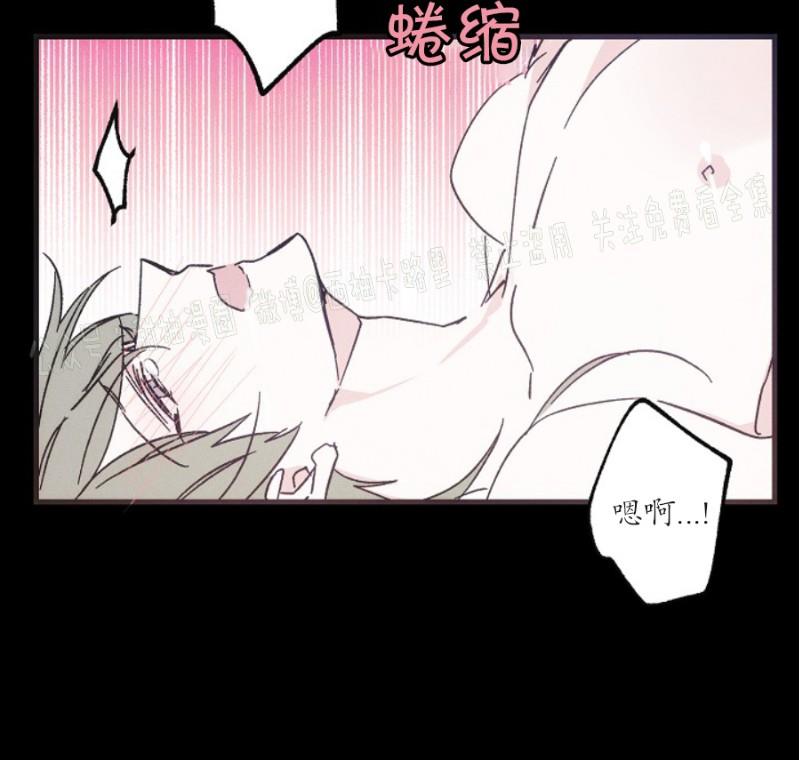代号：迷雾/代号雾[耽美]韩漫全集-第16话无删减无遮挡章节图片 
