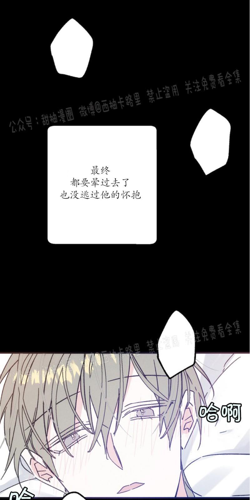 代号：迷雾/代号雾[耽美]韩漫全集-第16话无删减无遮挡章节图片 
