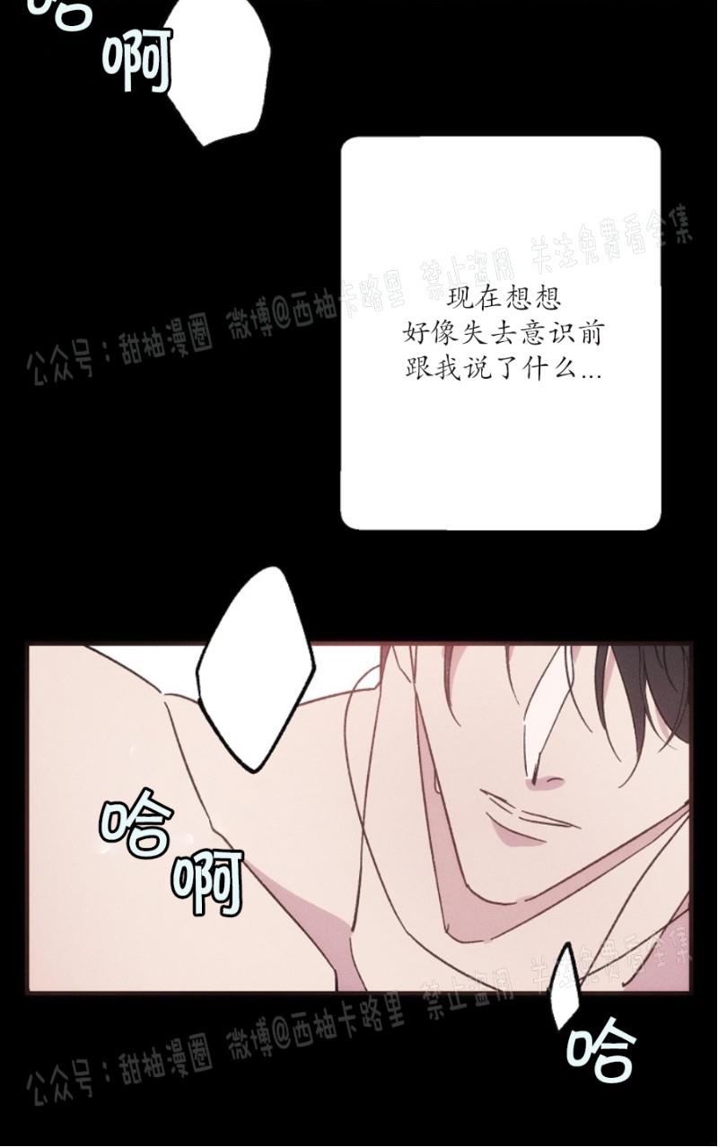 代号：迷雾/代号雾[耽美]韩漫全集-第16话无删减无遮挡章节图片 