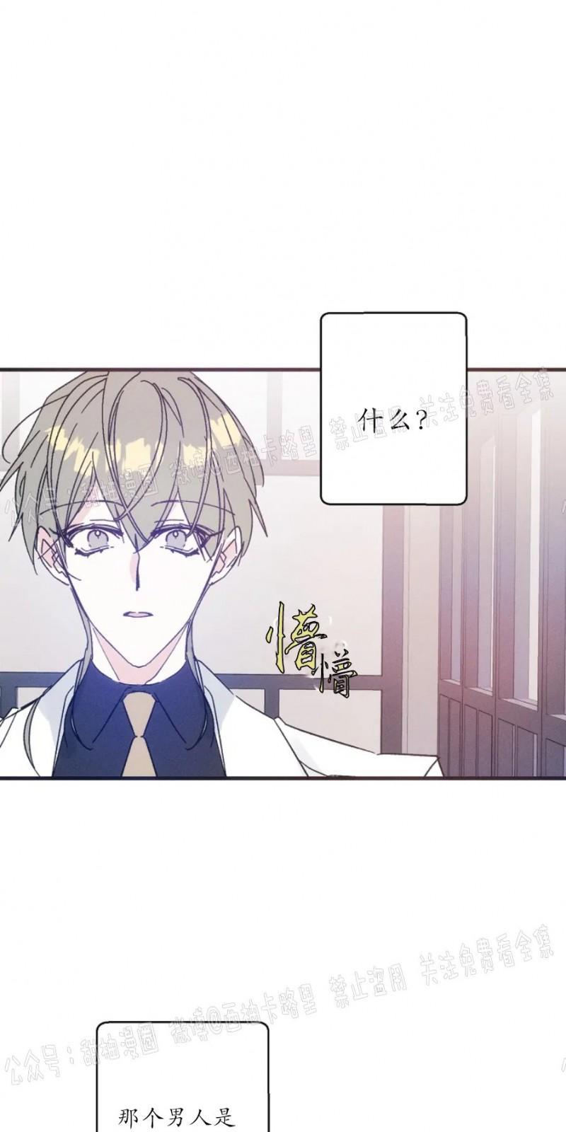 代号：迷雾/代号雾[耽美]韩漫全集-第17话无删减无遮挡章节图片 