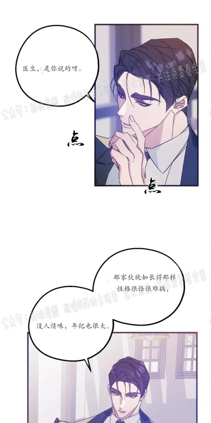 代号：迷雾/代号雾[耽美]韩漫全集-第17话无删减无遮挡章节图片 
