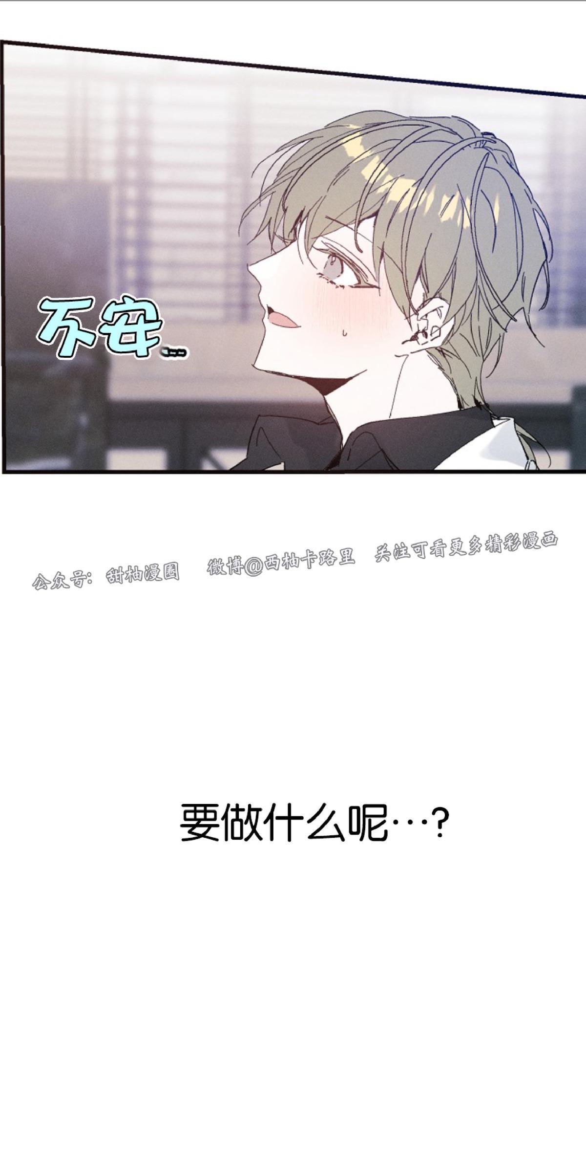 代号：迷雾/代号雾[耽美]韩漫全集-第20话无删减无遮挡章节图片 