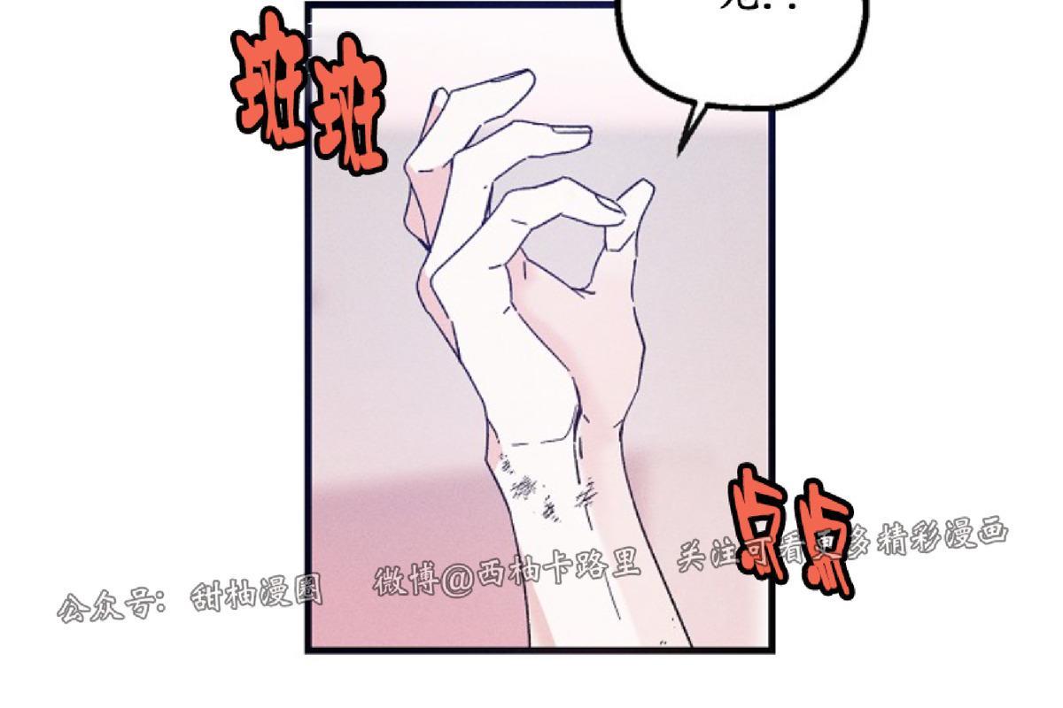 代号：迷雾/代号雾[耽美]韩漫全集-第21话无删减无遮挡章节图片 