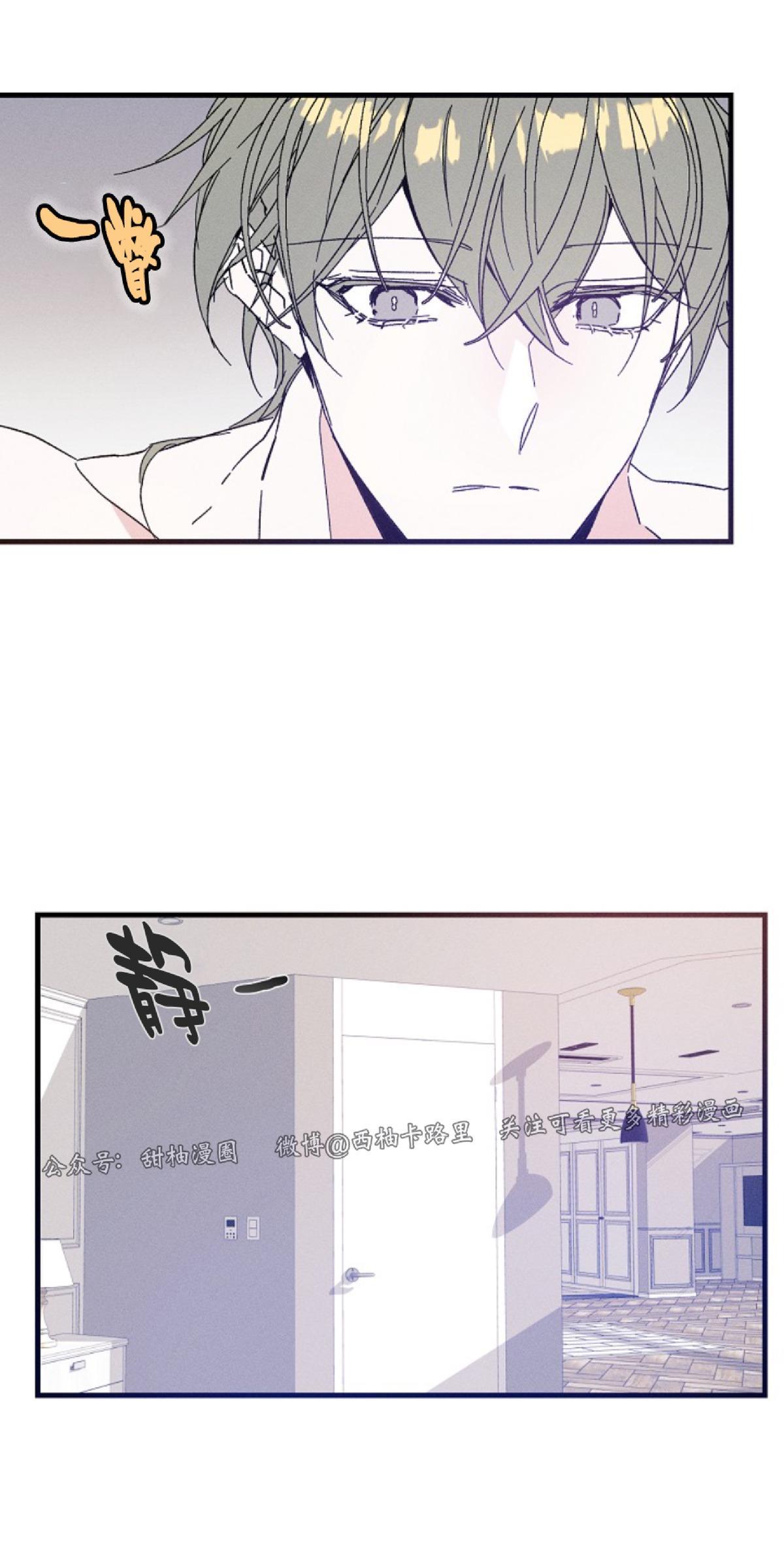 代号：迷雾/代号雾[耽美]韩漫全集-第21话无删减无遮挡章节图片 