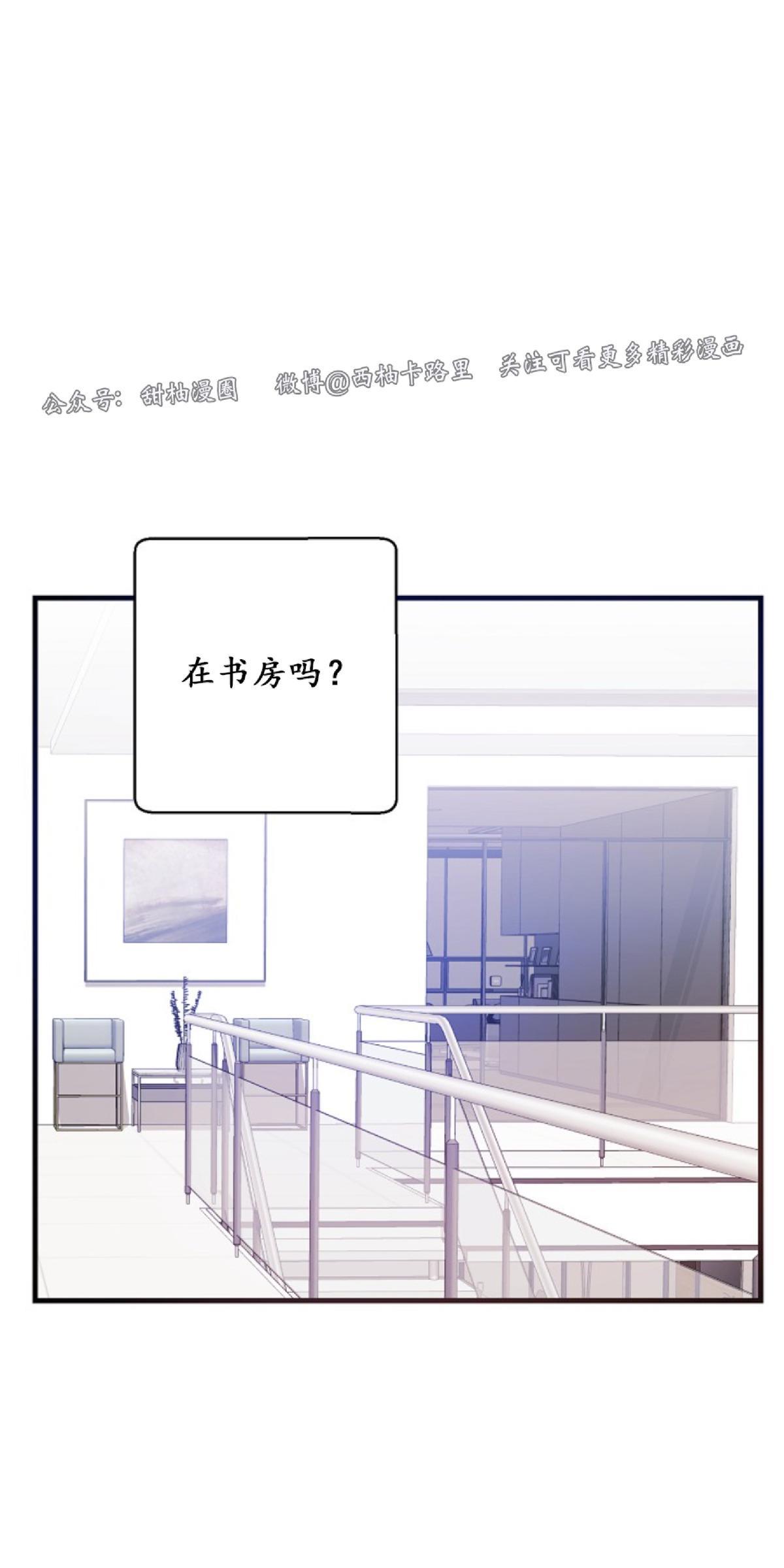 代号：迷雾/代号雾[耽美]韩漫全集-第21话无删减无遮挡章节图片 