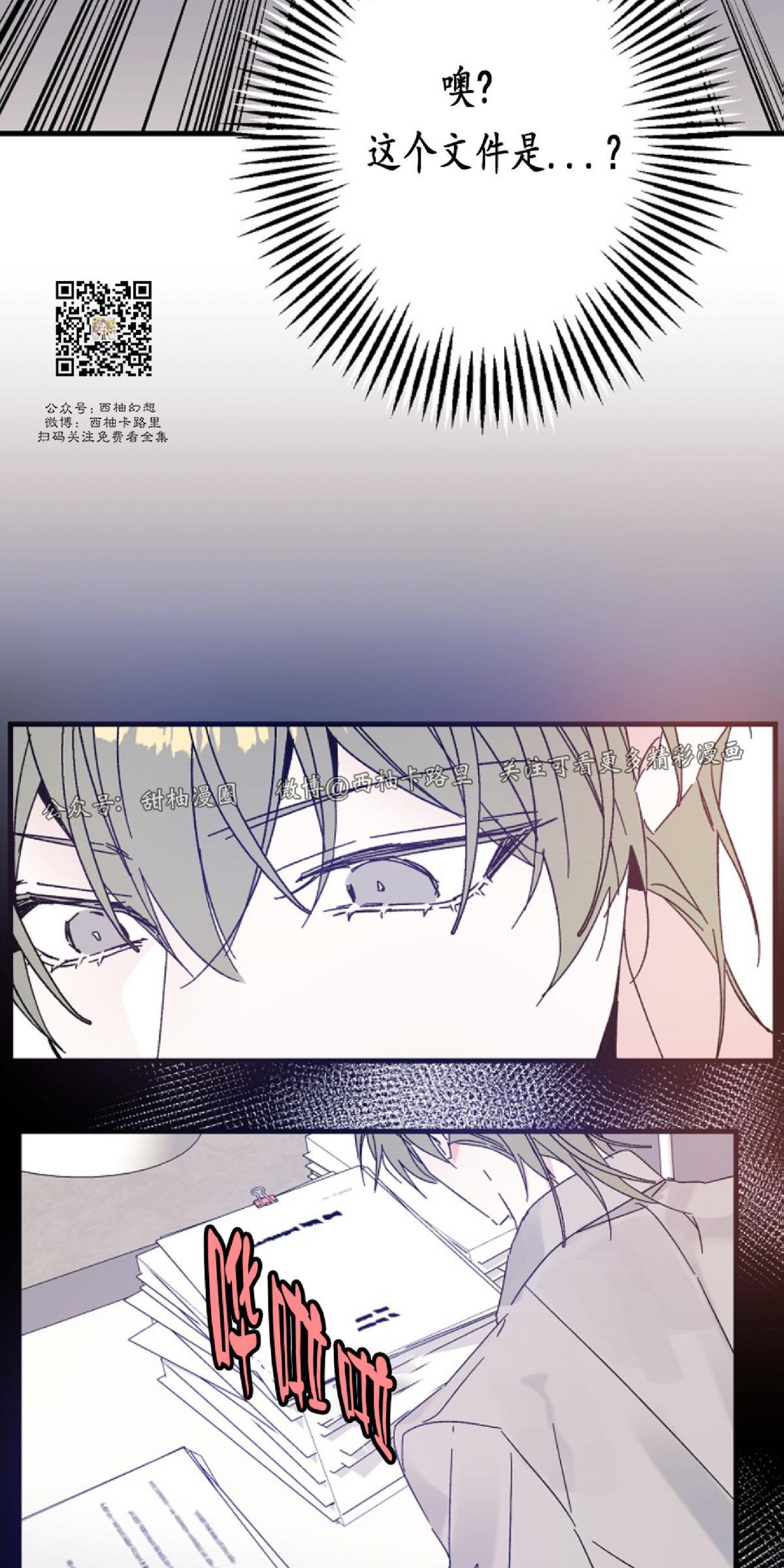 代号：迷雾/代号雾[耽美]韩漫全集-第21话无删减无遮挡章节图片 