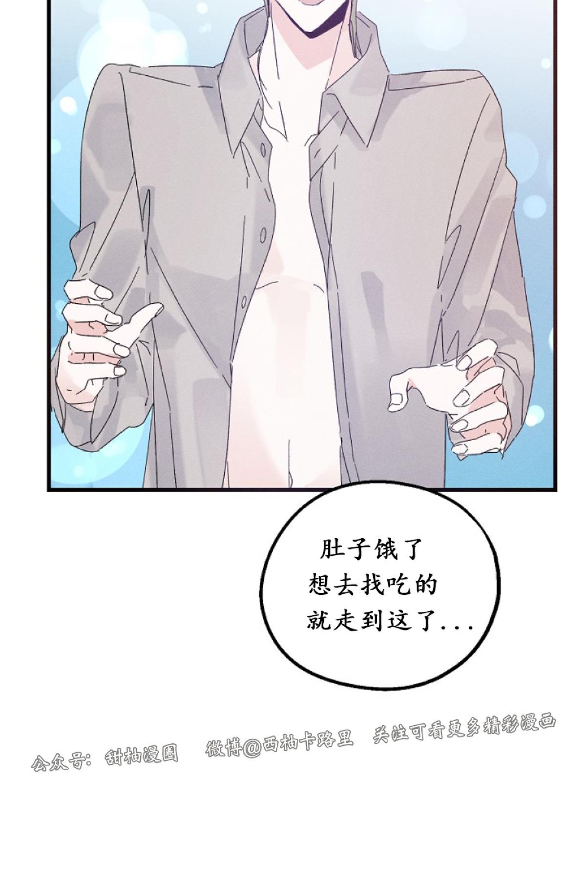 代号：迷雾/代号雾[耽美]韩漫全集-第21话无删减无遮挡章节图片 