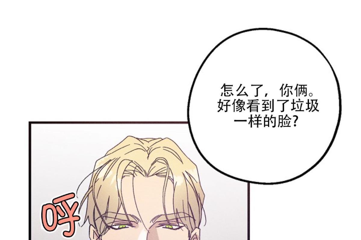 代号：迷雾/代号雾[耽美]韩漫全集-第22话无删减无遮挡章节图片 