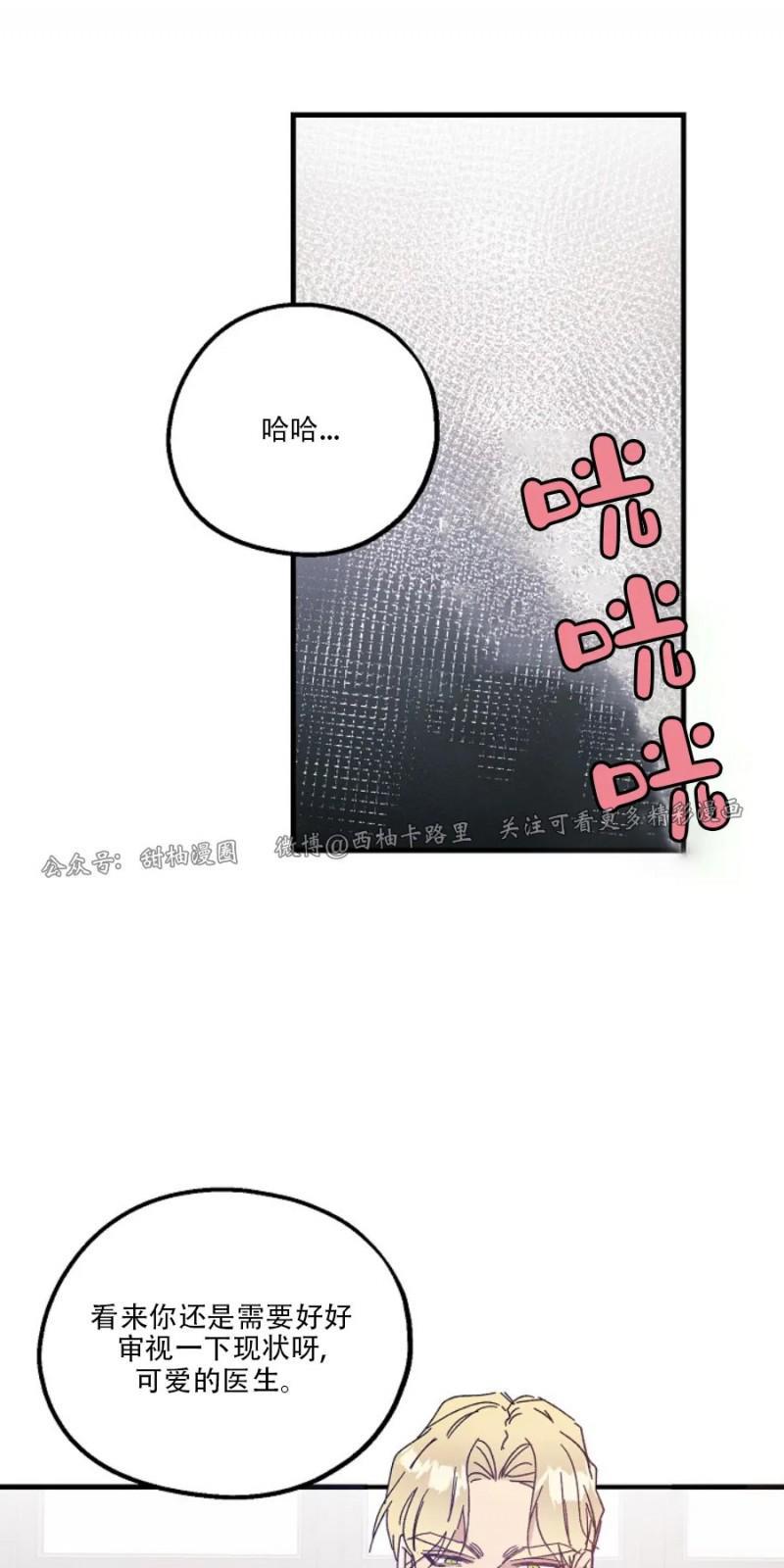 代号：迷雾/代号雾[耽美]韩漫全集-第23话无删减无遮挡章节图片 