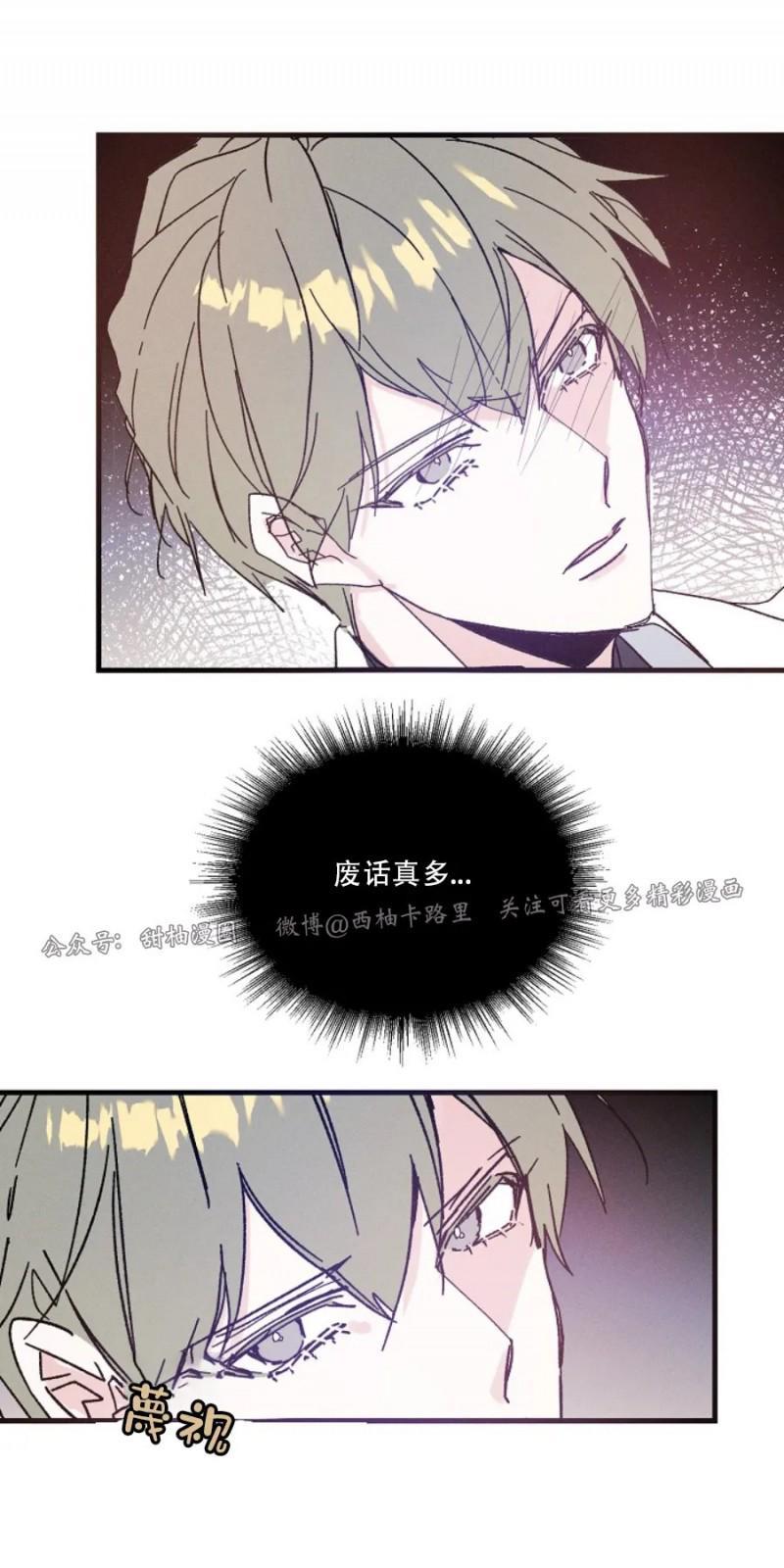 代号：迷雾/代号雾[耽美]韩漫全集-第23话无删减无遮挡章节图片 