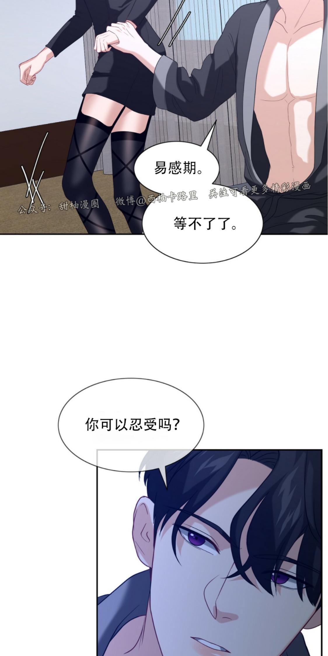劣质Omega的秘密[耽美]韩漫全集-第4话无删减无遮挡章节图片 