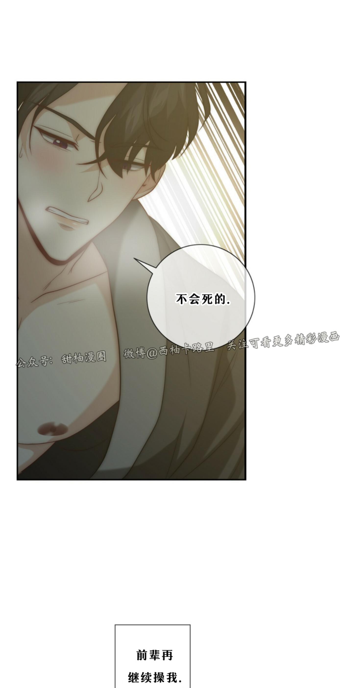劣质Omega的秘密[耽美]韩漫全集-第6话无删减无遮挡章节图片 