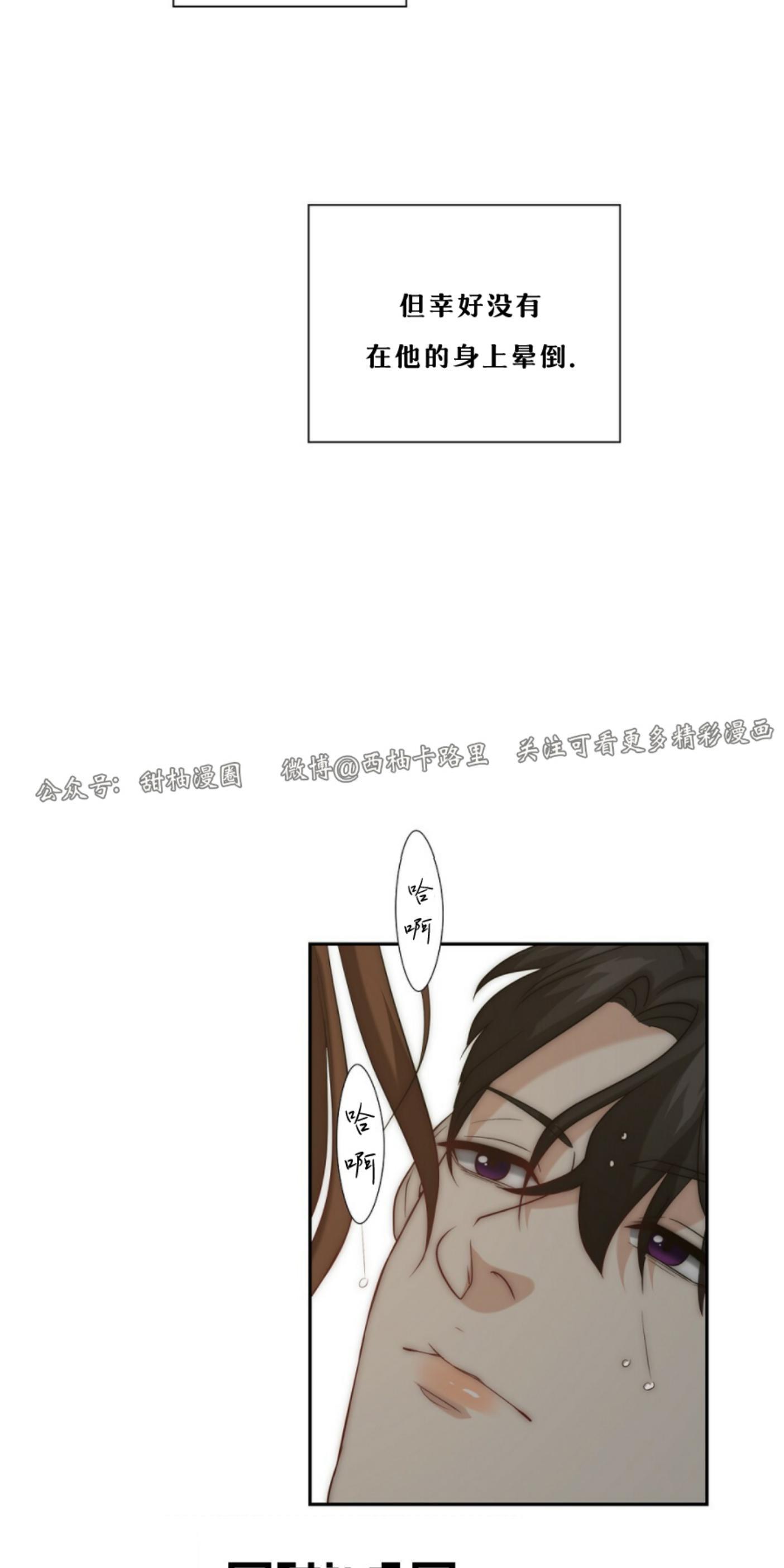 劣质Omega的秘密[耽美]韩漫全集-第6话无删减无遮挡章节图片 