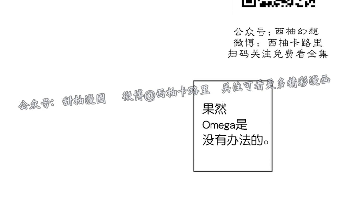 劣质Omega的秘密[耽美]韩漫全集-第11话无删减无遮挡章节图片 