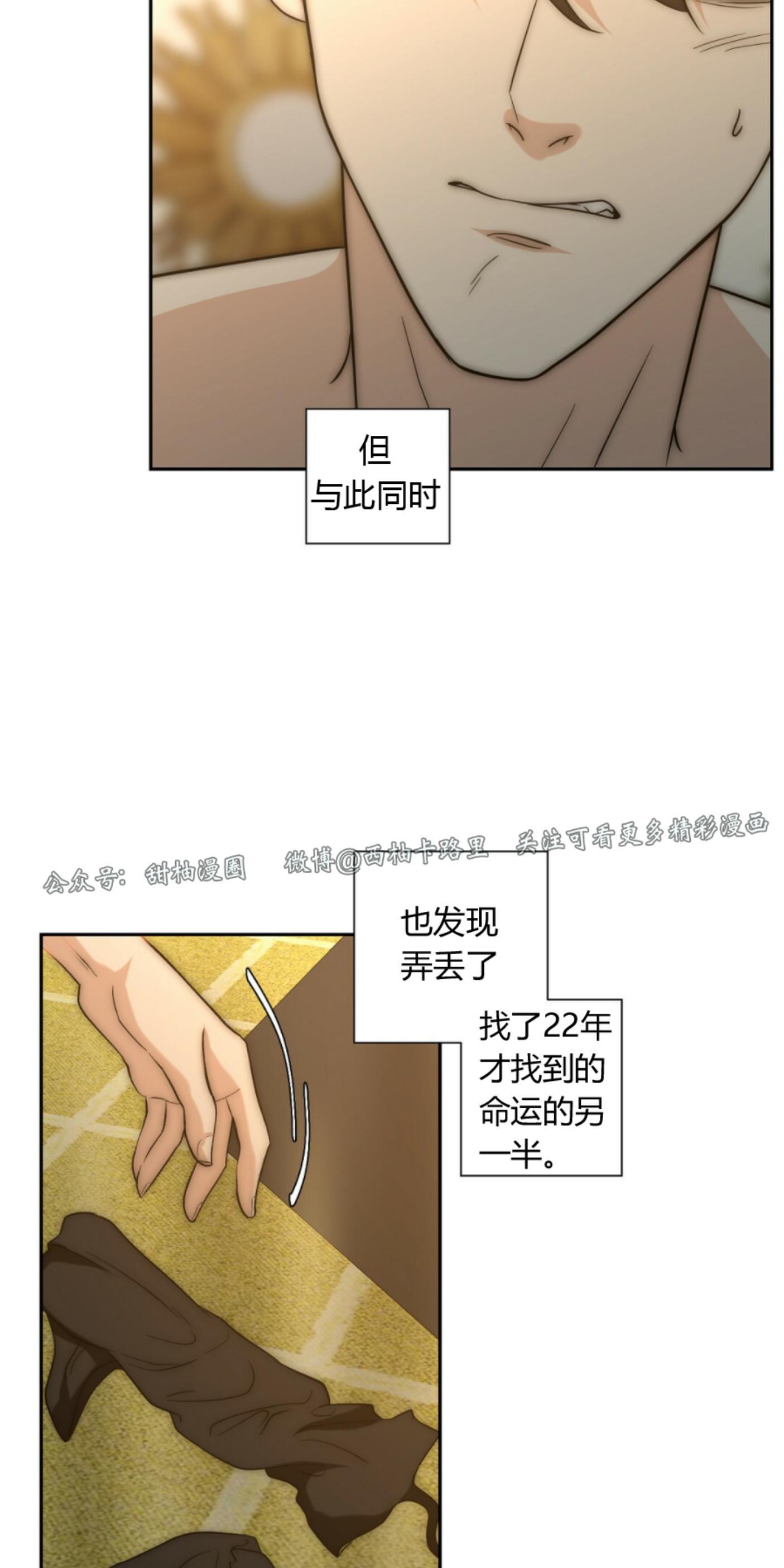 劣质Omega的秘密[耽美]韩漫全集-第12话无删减无遮挡章节图片 