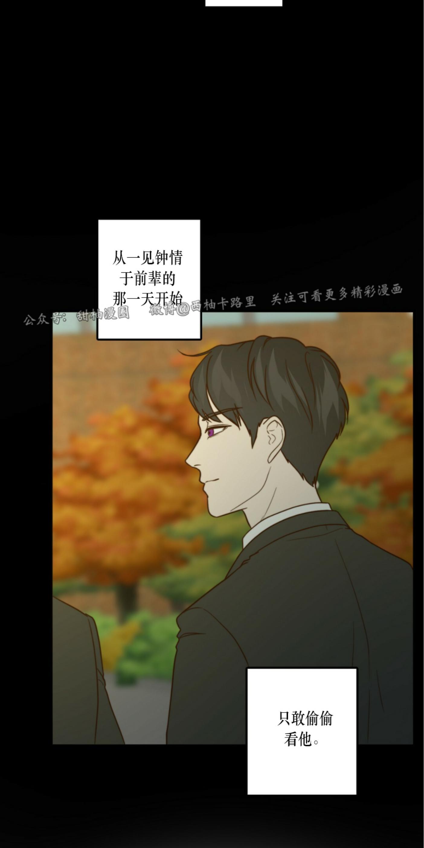 劣质Omega的秘密[耽美]韩漫全集-第18话无删减无遮挡章节图片 