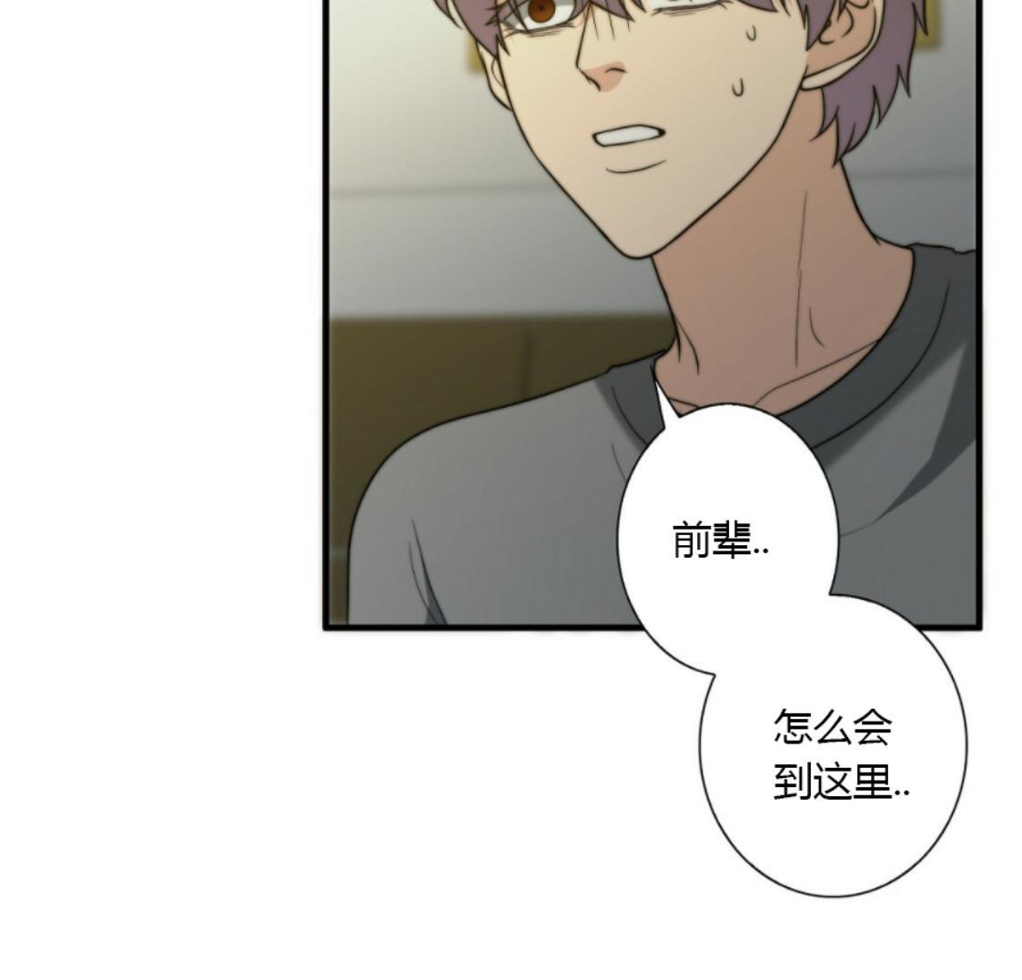 劣质Omega的秘密[耽美]韩漫全集-第19话无删减无遮挡章节图片 
