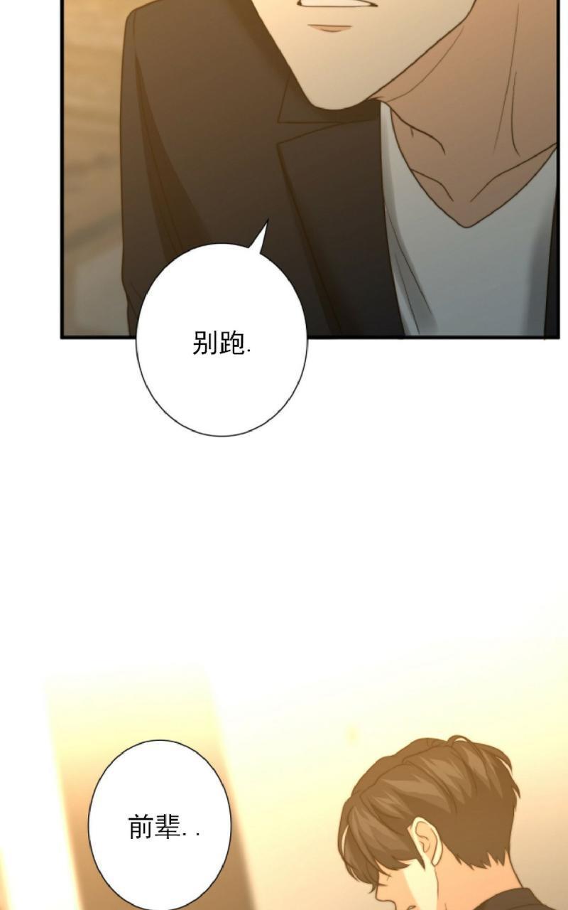 劣质Omega的秘密[耽美]韩漫全集-第20话无删减无遮挡章节图片 