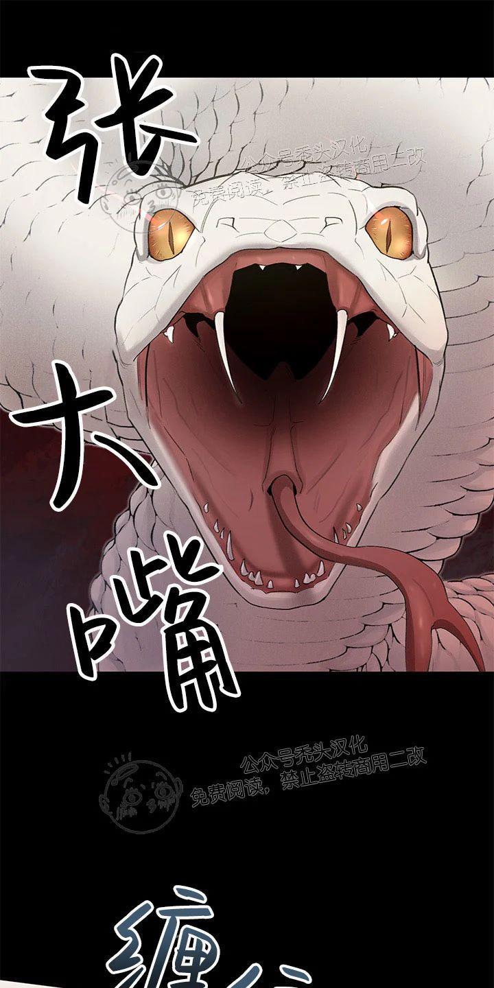 Plaything/成为某大公阁下的玩物[耽美]韩漫全集-第14话无删减无遮挡章节图片 