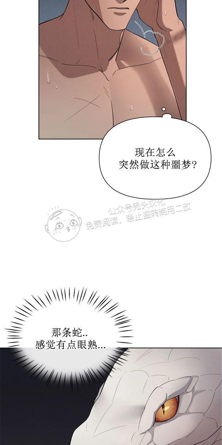 Plaything/成为某大公阁下的玩物[耽美]韩漫全集-第14话无删减无遮挡章节图片 