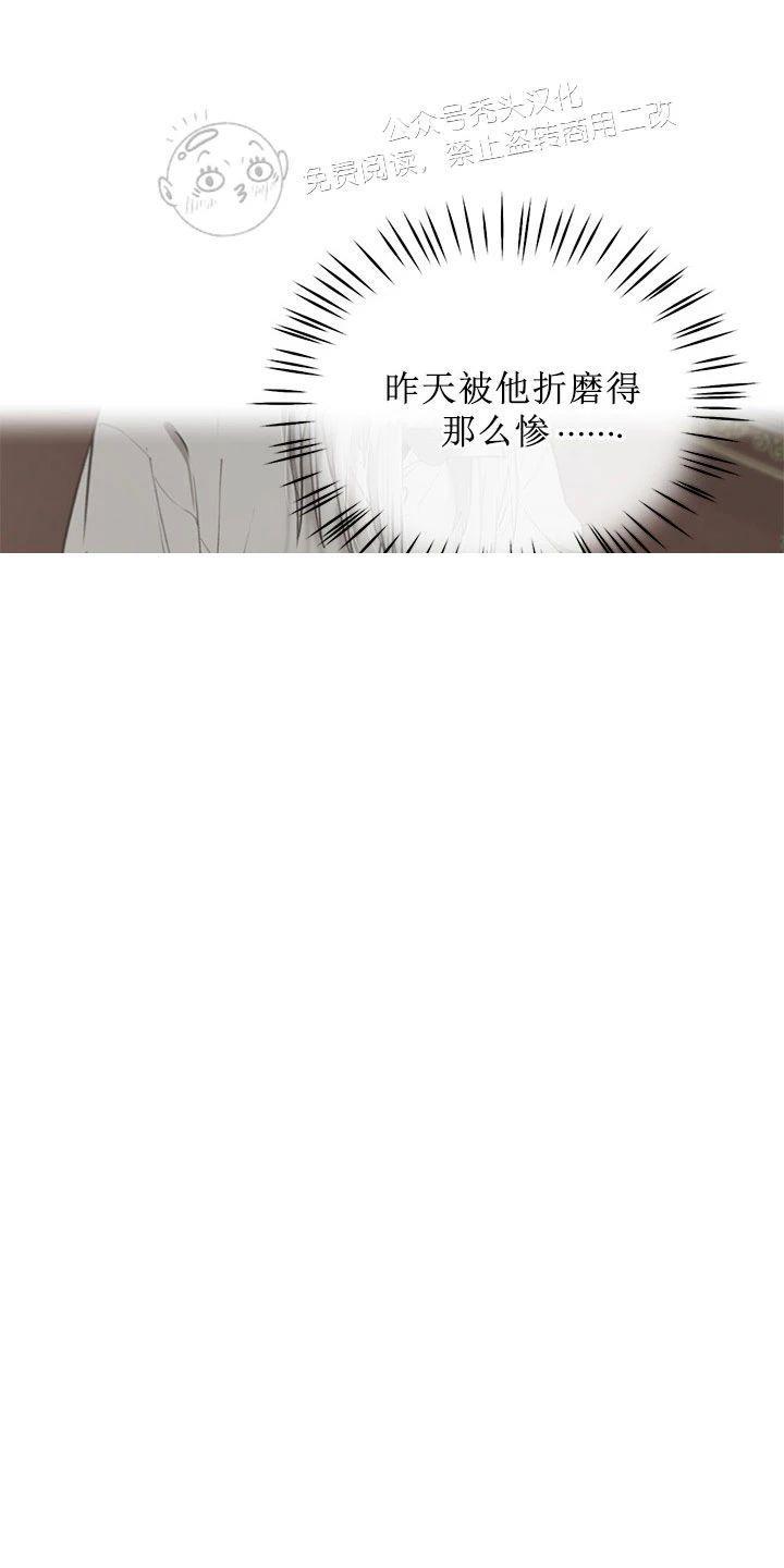 Plaything/成为某大公阁下的玩物[耽美]韩漫全集-第14话无删减无遮挡章节图片 