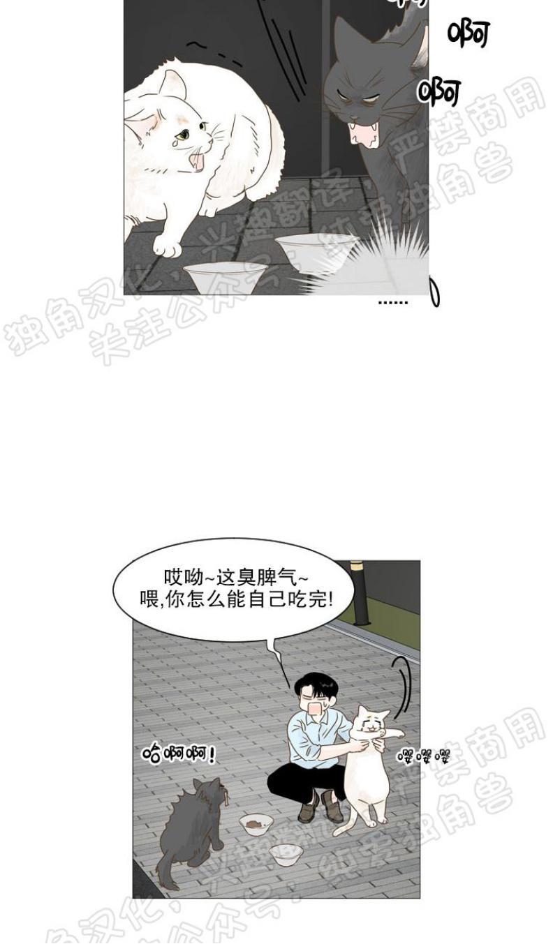 秘密关系[耽美]韩漫全集-第9话无删减无遮挡章节图片 
