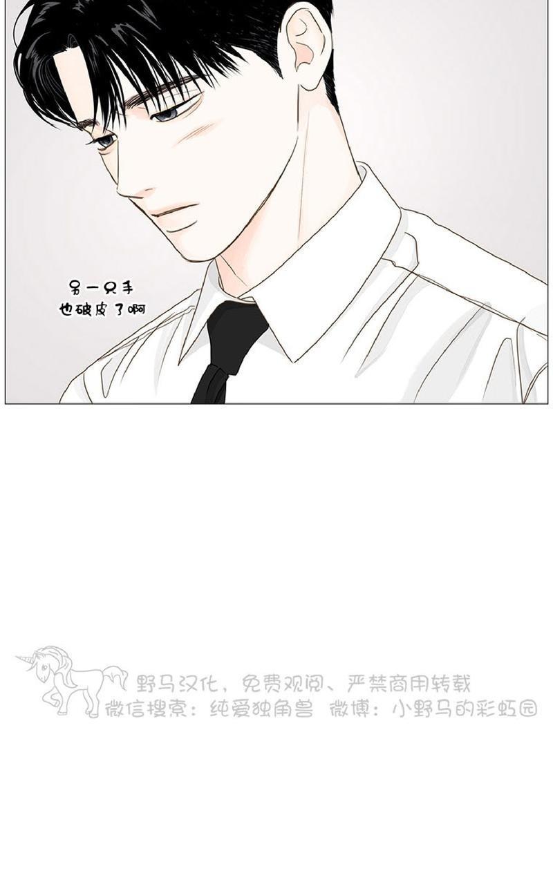 秘密关系[耽美]韩漫全集-第31话无删减无遮挡章节图片 