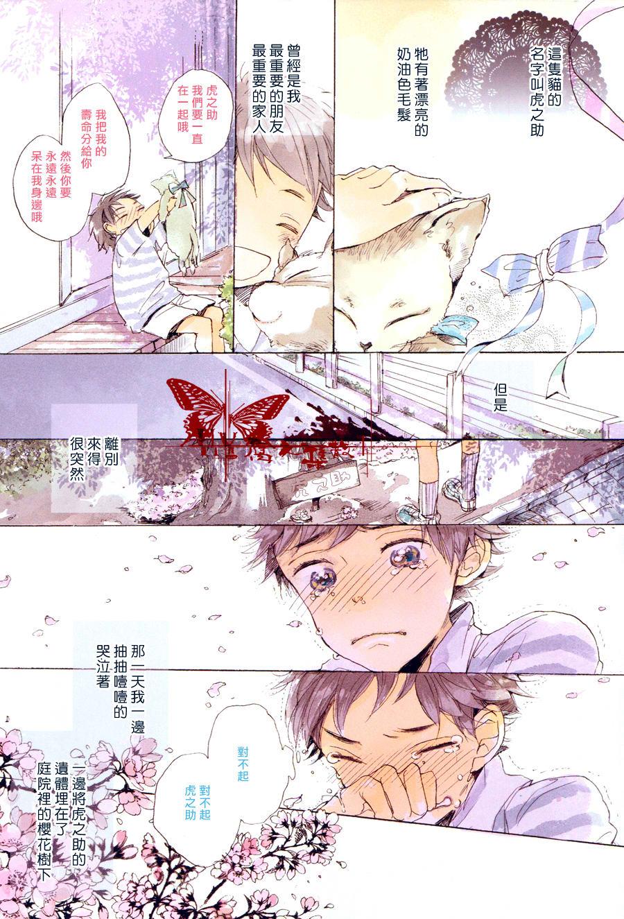 猫新娘驾到[耽美]韩漫全集-第1话无删减无遮挡章节图片 