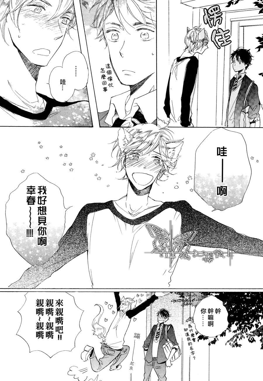 猫新娘驾到[耽美]韩漫全集-第1话无删减无遮挡章节图片 