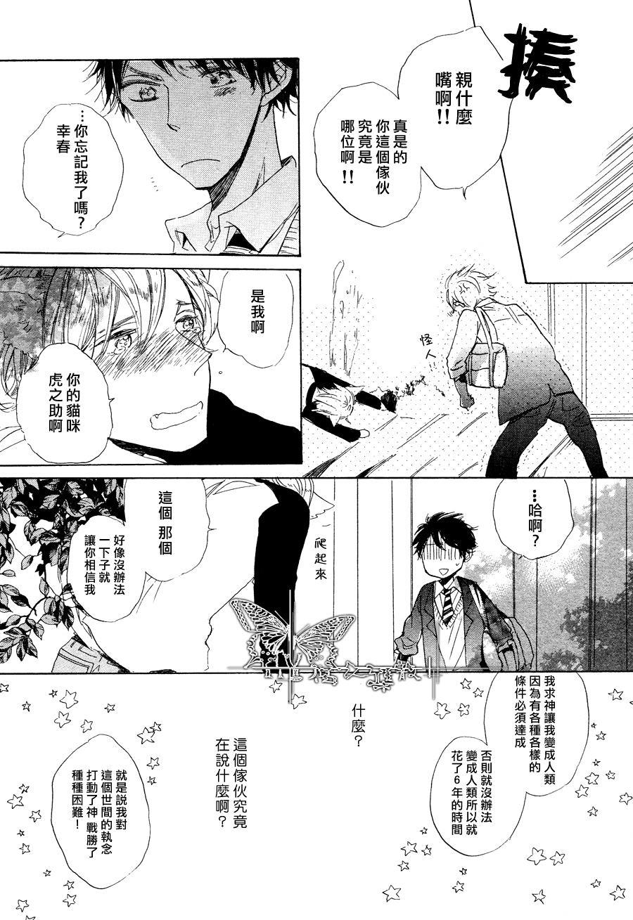 猫新娘驾到[耽美]韩漫全集-第1话无删减无遮挡章节图片 