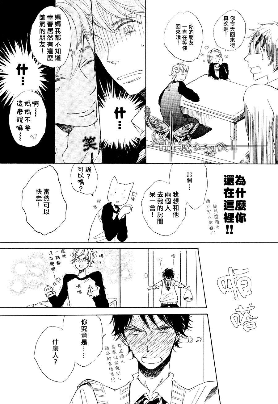 猫新娘驾到[耽美]韩漫全集-第1话无删减无遮挡章节图片 