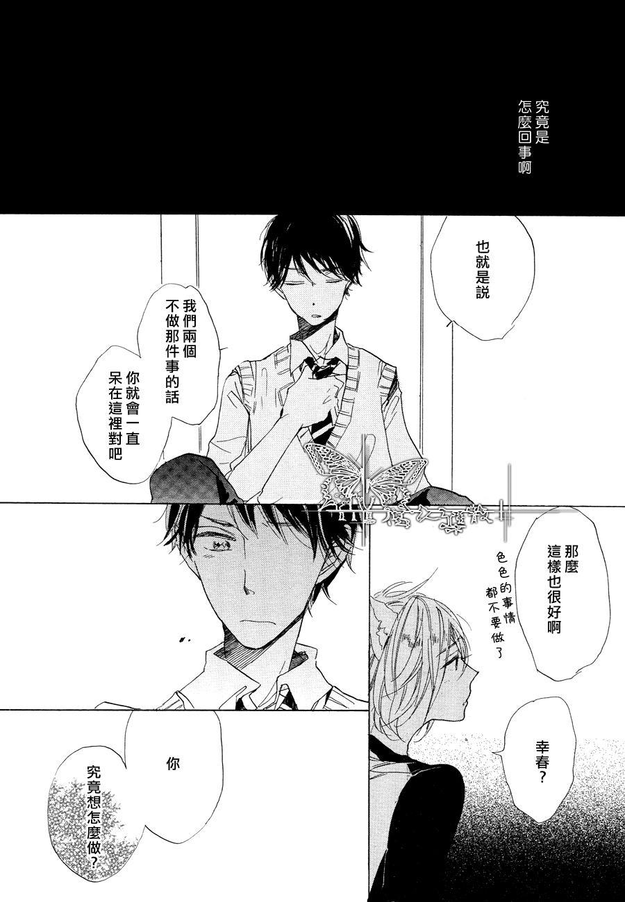 猫新娘驾到[耽美]韩漫全集-第1话无删减无遮挡章节图片 
