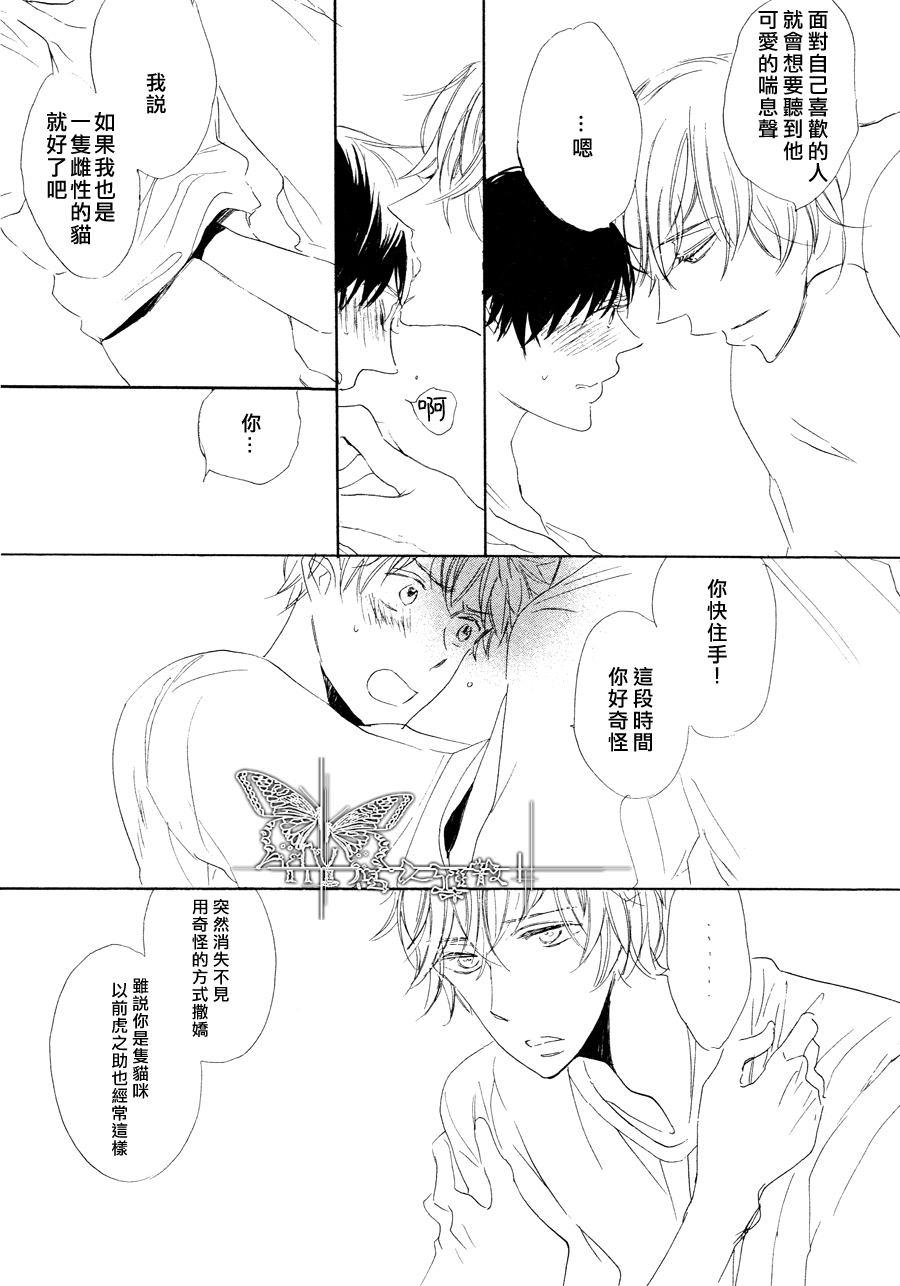 猫新娘驾到[耽美]韩漫全集-第2话无删减无遮挡章节图片 