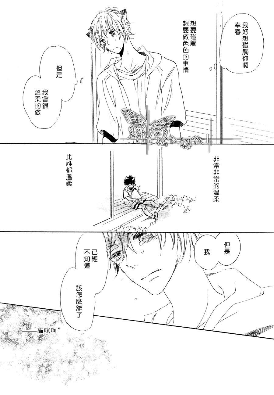 猫新娘驾到[耽美]韩漫全集-第2话无删减无遮挡章节图片 