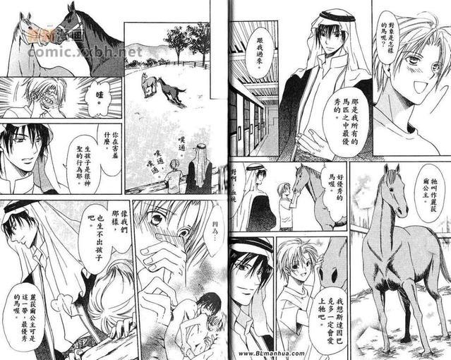 沙漠的新娘[耽美]韩漫全集-第1卷无删减无遮挡章节图片 